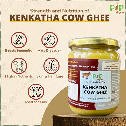 Desi Kenkatha Cow | Kenkatha Cow Bilona A2 Ghee | केनकथा गाईचे तूप