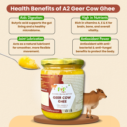 Desi Geer Cow Ghee | Kanha National Park A2 Geer Cow | कान्हा गीर गाईचे तूप