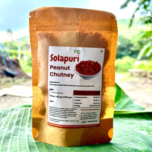 Solapuri Peanut Chutney | Mungfali/Shengdana Chutney | सोलापुरी शेंगदाणा चटणी