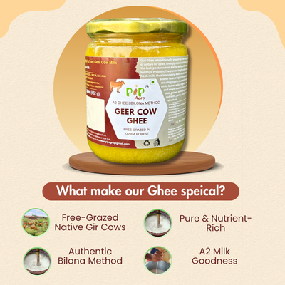 Desi Geer Cow Ghee | Kanha National Park A2 Geer Cow | कान्हा गीर गाईचे तूप