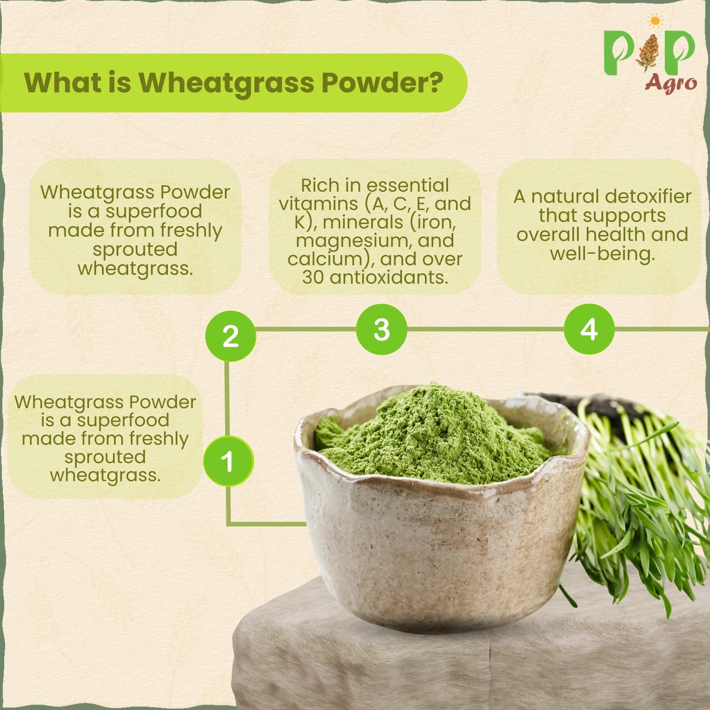 Wheat Grass Powder 100 gm | गहू अंकुर पावडर