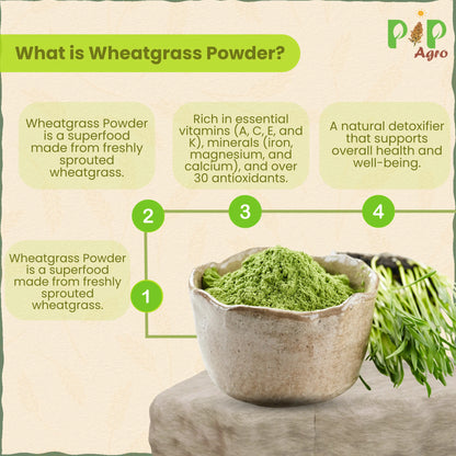 Wheat Grass Powder 100 gm | गहू अंकुर पावडर