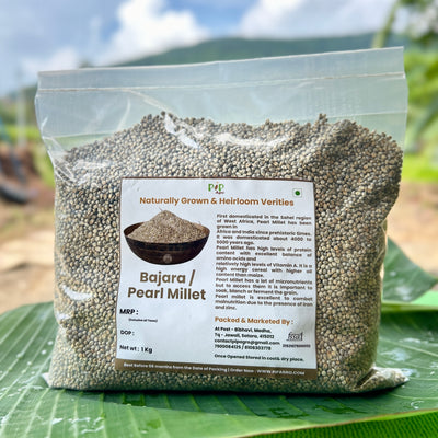 Bajari | Bajara | Pearl Millet | बाजरी