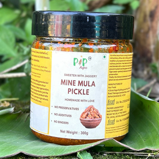 Mine Mula Pickle 300g | माईन मुळा लोणचे