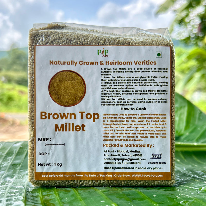 Browntop Millet / हरी कंगणी | ब्राऊनटॉप मिलेट