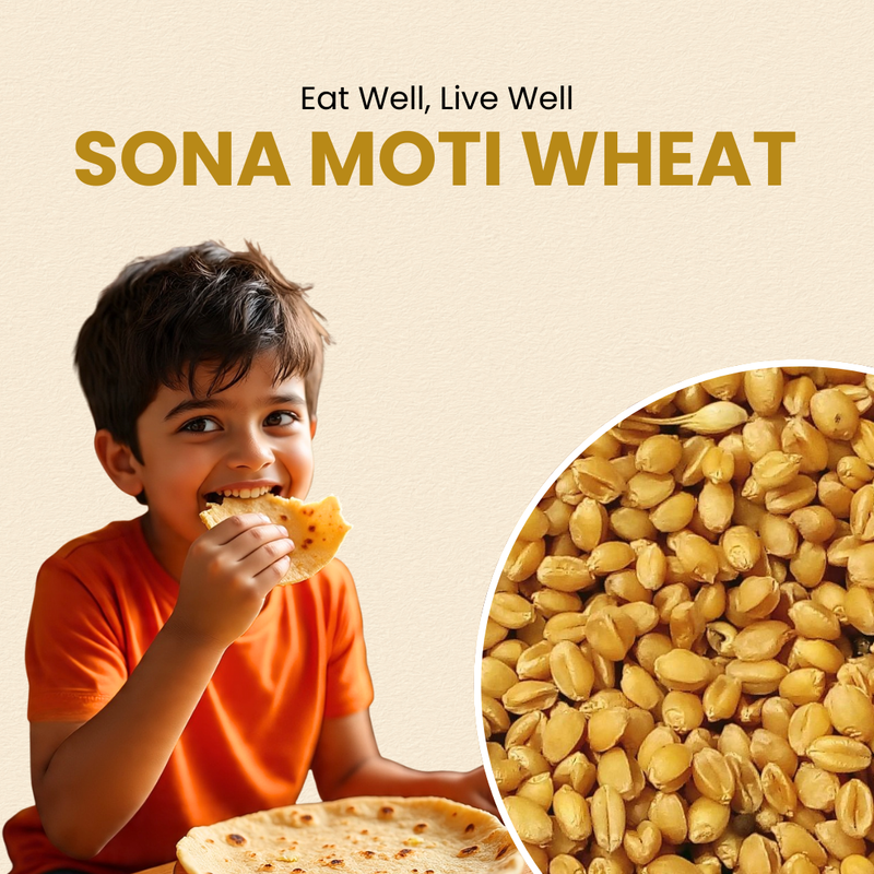 Sona Moti Wheat - Heirloom Verity | सोना मोती गहु