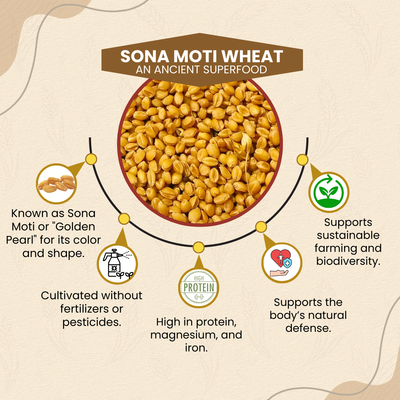 Sona Moti Wheat - Heirloom Verity | सोना मोती गहु
