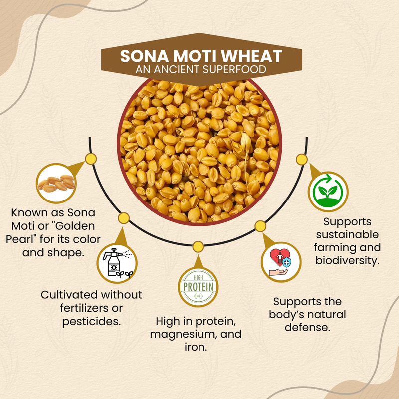 Sona Moti Wheat - Heirloom Verity | सोना मोती गहु