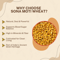 Sona Moti Wheat - Heirloom Verity | सोना मोती गहु