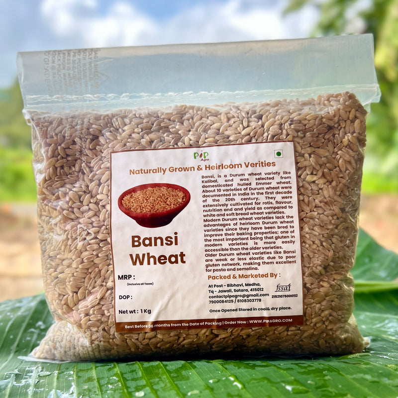 Bansi Wheat | बन्सी गहू