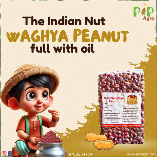 Desi Waghya Peanut / Groundnut | वाघ्या शेंगदाणे