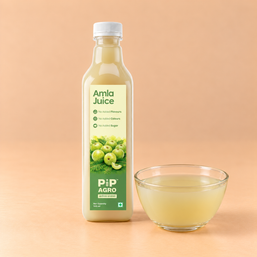 Amla / Gooseberry Juice | No Added Sugar | आवळा ज्युस