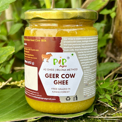 Desi Geer Cow Ghee | Kanha National Park A2 Geer Cow | कान्हा गीर गाईचे तूप