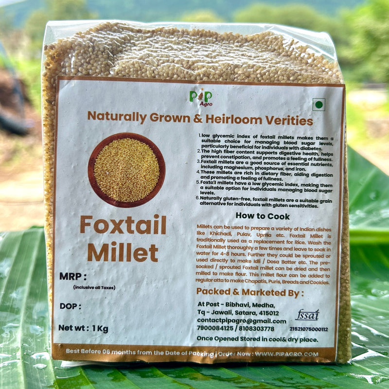 Unpolished Foxtail Millet | कांगणी | फॉक्सटेल मिलेट