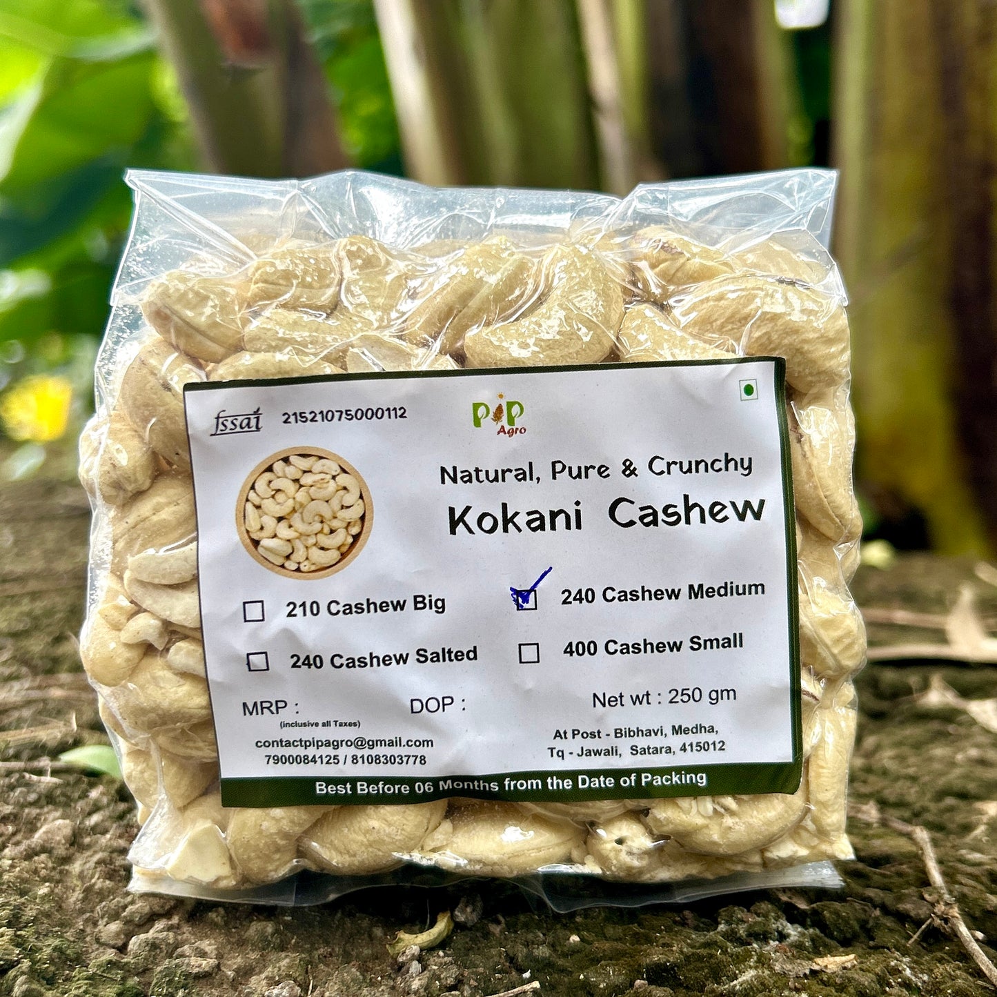 Konkani Cashew | Konkani Kaju | Medium-W240 | काजू 240