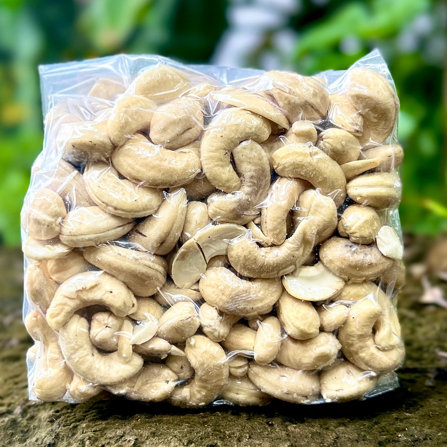 Konkani Salted Cashew | Konkani Kaju | Medium-W240 | खारे काजू 240