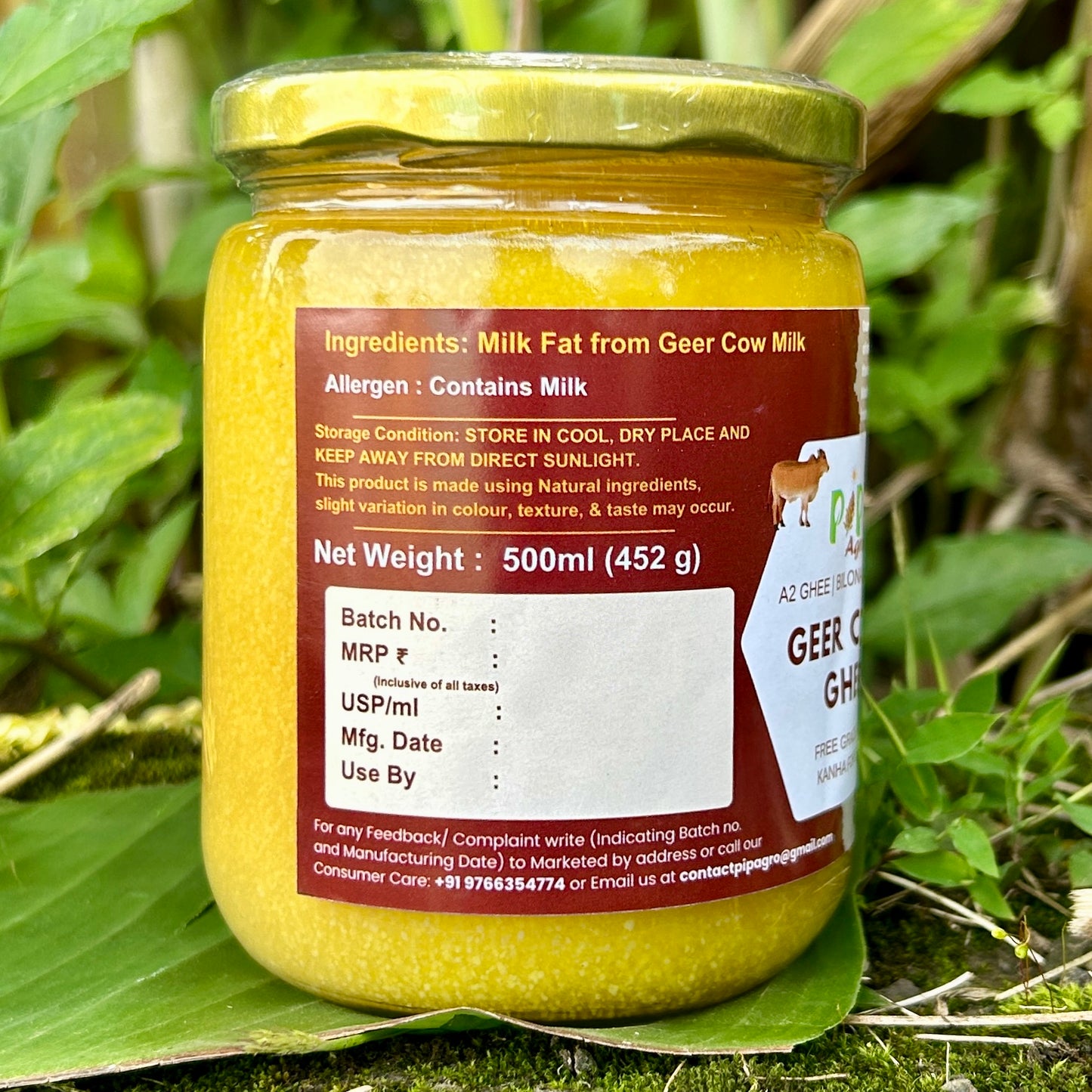 Desi Geer Cow Ghee | Kanha National Park A2 Geer Cow | कान्हा गीर गाईचे तूप