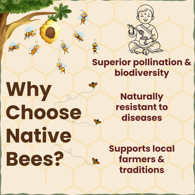 Forest Honey | Multifloral | मध