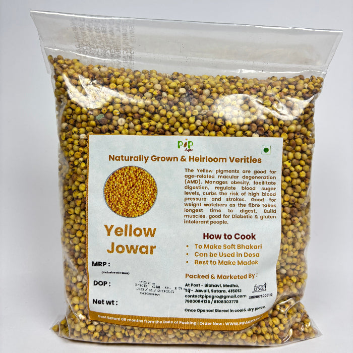 Yellow Jowar | पिवळी ज्वारी