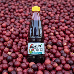Kokum Jeera Sarbat | कोकम जीरा सरबत