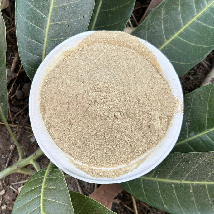 Bhat Kaka's Ambehalad Powder | आंबेहळद पावडर