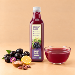Jamun Juice | No Added Sugar | जांभुळ ज्यूस