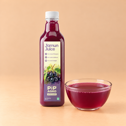 Jamun Juice | No Added Sugar | जांभुळ ज्यूस