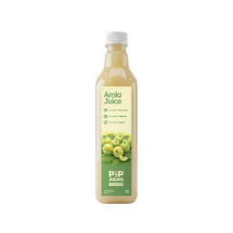 Amla / Gooseberry Juice | No Added Sugar | आवळा ज्युस