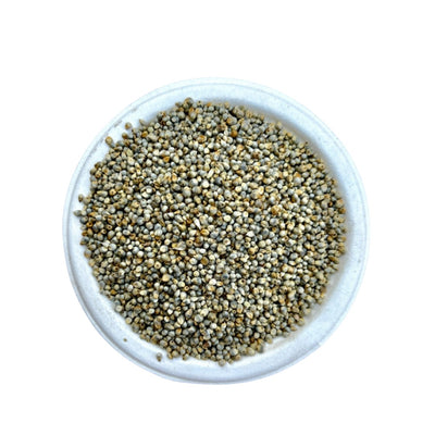 Bajari | Bajara | Pearl Millet | बाजरी