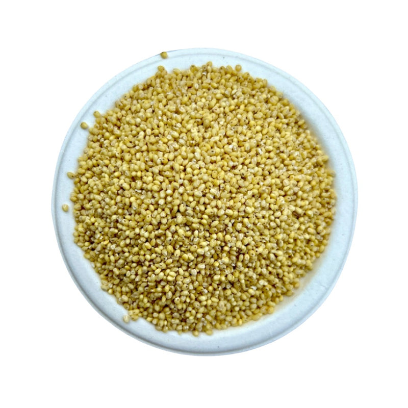 Unpolished Proso Millet / चेन्ना / मोठी वरई | प्रोसो मिलेट