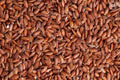 Njavara / Navara Red Rice (Unpolished) | लाल तांदूळ