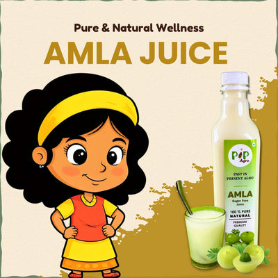 Amla / Gooseberry Sugar Free Juice | आवळा ज्युस