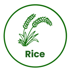 Traditional Rice