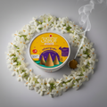 Cone Combo Pack - 3 Types (24 Pcs Each Box) | कोन कॉम्बो