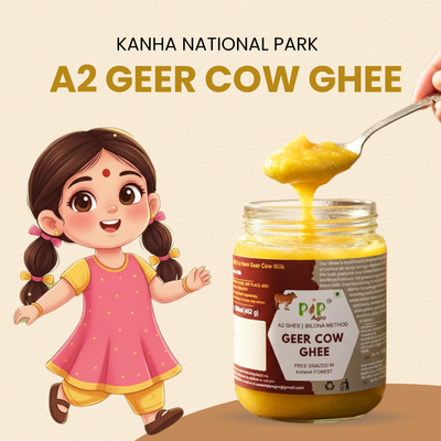Desi Geer Cow Ghee | Kanha National Park A2 Geer Cow | कान्हा गीर गाईचे तूप