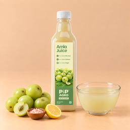 Amla / Gooseberry Juice | No Added Sugar | आवळा ज्युस