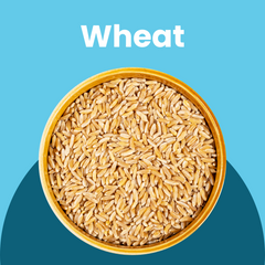 Wonderful Wheat