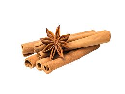 Dalchini / Cinnamon | दालचिनी