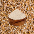 Khapli Wheat Flour (Emmer Wheat Grain) | खपली पीठ